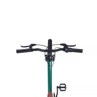  20 Maxiscoo 7bike M200,  
