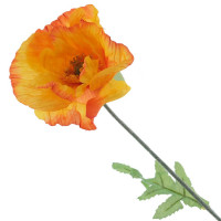 ������ ������������� ���, L17 W9 H73 ��