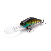 ������ Namazu Guttatus, L-65 ��, 15 �, ���, ���������, 3.5-5.0 �, ���� �6