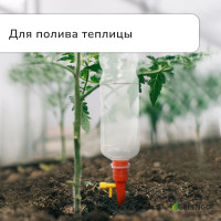      , ,  , ,  15 , , Greengo