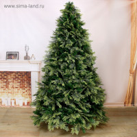    .  , 240 , D   155 , 1650   