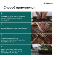    ,   , 50 25 , Greengo