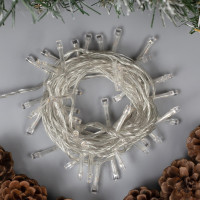   5 , Ip20,  , 50 Led, 8 , 220 ,   