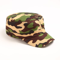 ��������� �������, ���� ���� ����, ������ 58