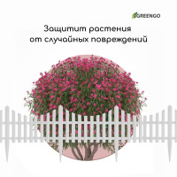  , 30 300 , 5 , , , Greengo