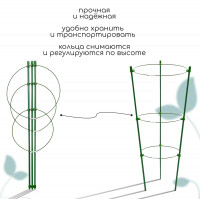 , D=151719 , H=44 , 3 , , , Greengo