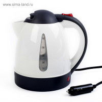  Torso,  1 , 12 , 150 