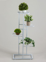    Greengo, 5 , 44 22 95 , , , 