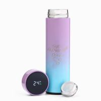 , 500 , Basic " ",  ,   ,   8 