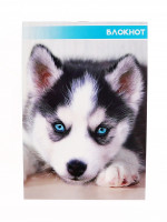 ������� �6, 40 ������ � ������ �� ������� ������� � ������, ������� ���������� ������, ����