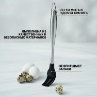   Magistro Titan, 28 ,  