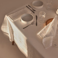  Sl Home Fiesta 176300,  48%,  52%, 206 /2