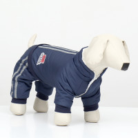 ���������� ������ � ���������������� ��������, ������ Xl (�� 40, �� 50, �� 40 ��), ����-��