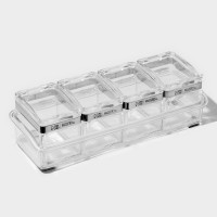       Magistro Glace, 8 :  200  4 .,  4 ., , 