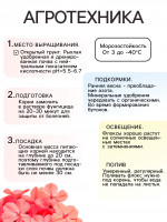   ,     , I, 2 .