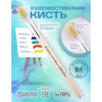   ,   16 (  16 ;   24 ),  , Calligrata