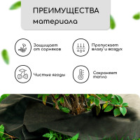 , D=1 ,  60 / ,   -,  2 ., , Greengo,  20%