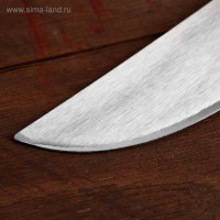   Tramontina 43 ,  29,5