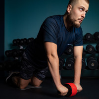    Onlytop, 341313 ,  ,  