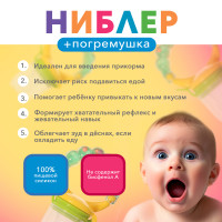 �����: ������ + 2 ������� �������