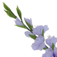 ������ ������������� ���������, L17 W6 H94 ��