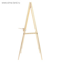   , 100  50  55 ,  50  50 ,    ,  , Calligrata