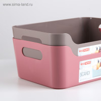    Scandi, 3,1 , 24x17x9 ,  