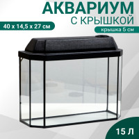    , 15 , 40 14.5 27/32 , 