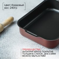   Promo, 19x25 ,  ,  