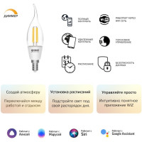   Gauss Iot Smart Home E14 4.5 495lm Wi-fi (.:1) (1260112)