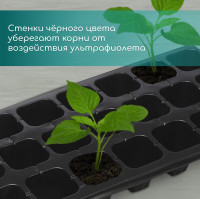   , 21   150 , , , 54 28 7 , Greengo