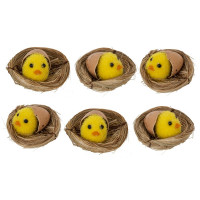 ����� �� 6 ������� ������������ ������ ����������, L17 W11,5 H4 ��