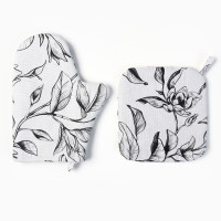    Plant Leaves:  20 27 ,  19 19 , 100% , 250 / 