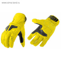   Venus,  Xl, -