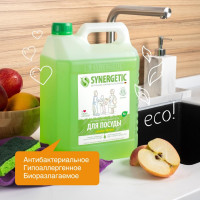     Synergetic "",   , 5 