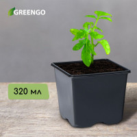 ������ ��� �������, 320 ��, 8 8 7 ��, ������, Greengo