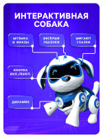    Iq Bot, : , , , , ,  ,   , 