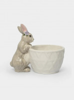 ����������, 12�16 ��, ��������, �������-�����, ������ � ���������, Brown Rabbit