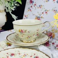 �������� ������ 12��. 120 �� � ���.��. ������