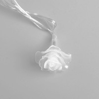   5     , Ip20,  , 20 Led,   (rg/rb), , 220 