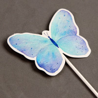 ��������� ��� ����� ��������, � ������ 6 ��.