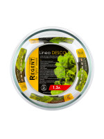 93-de-ca-21-1300  . . . 1,3 Linea Desco