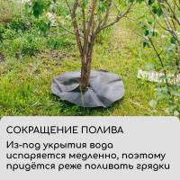  , D=0.6 ,  60 / ,   -,  5 ., , Greengo,  20%