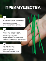  , 10 ,   100 ., , Greengo