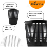      14 , alligrata " ", , , 