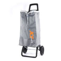 - Joy Home Ginger,  /