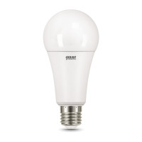   Elementary 25 A67 3000 . . E27 2000 Gauss 73215