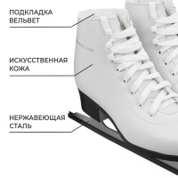   Winter Star Basic, . 38