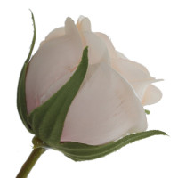   , L27 W21 H68 