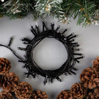   5 , Ip20,  , 50 Led, 8 , 220 ,  